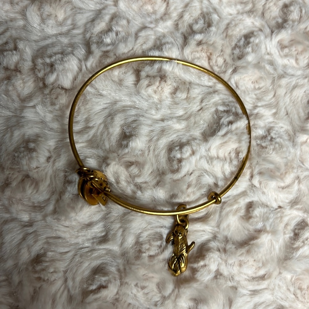 Alex and ani gold otter charm bracelet